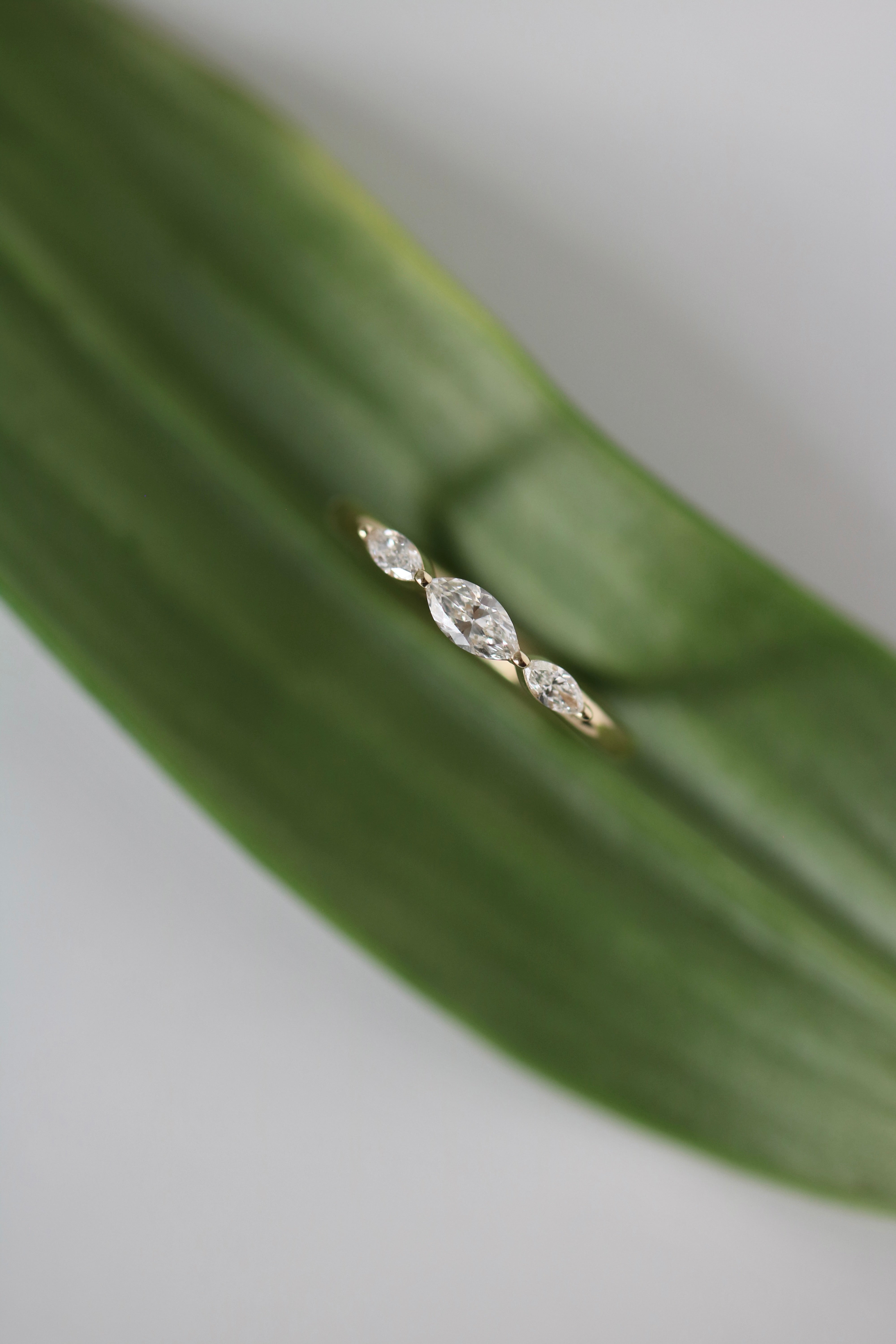 Meant to be her diamond ring - 18kt White Gold