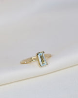 Nord Blue Ring Turned - 18kt Yellow Gold